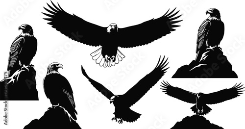 Bald eagle silhouette set illustration, black and white majestic bird of prey collection showing flying and perched poses