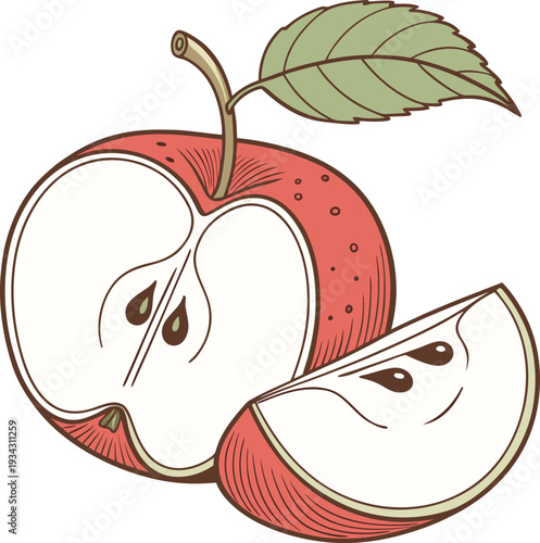 Organic Apple With Leaf Badge Vector Illustration