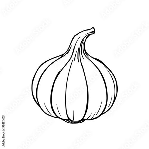 Silhouette compact garlic bulb with crisp clove segments and twisted stem tip, ideal for organic food recipes and kitchen design