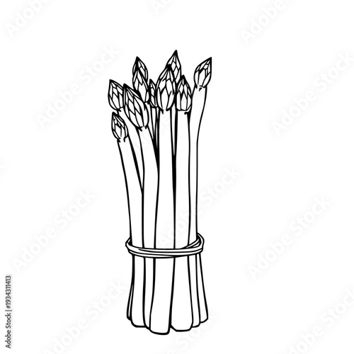 Freshly harvested green asparagus spears tied in a neat bundle, showcasing delicate tips and a strong, dark base, perfect for healthy food and culinary concepts