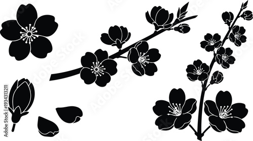 Minimalist vector art close up cherry blossom branch with multiple flowers buds and falling petals in flat black silhouette angled composition delicate mood elegant japanese inspired