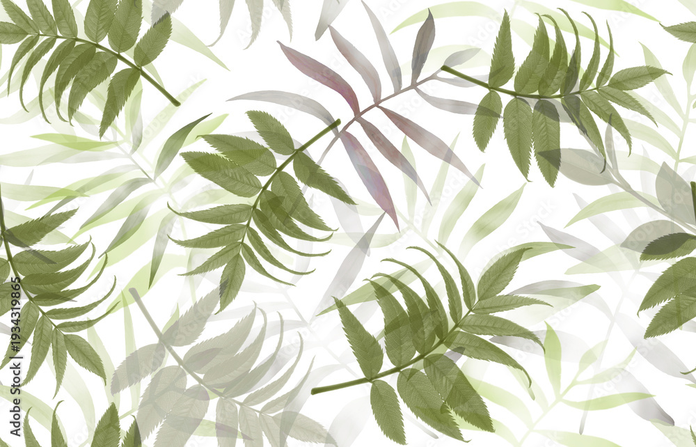 Fototapeta premium green leaves background