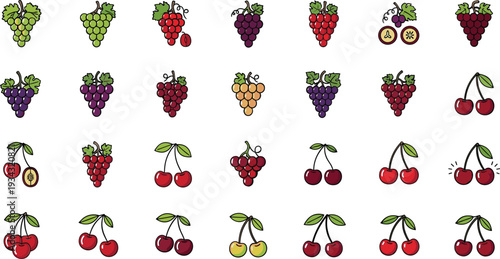 Colorful illustration of various grapes and cherries