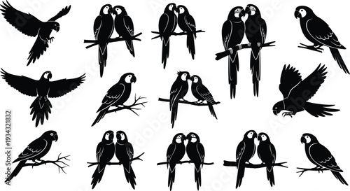 Macaw parrot silhouette set with tropical birds flying and perched on branches for wildlife nature jungle animal design element isolated on white background.