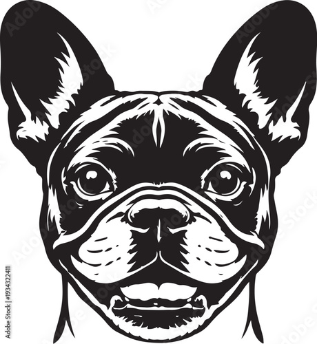 french bulldog vector illustration