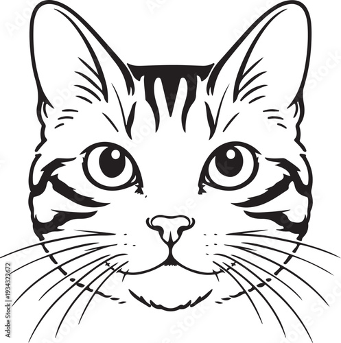 vector illustration of cat