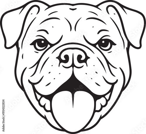 english bulldog puppy