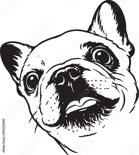 vector illustration of a white dog