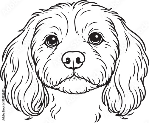 vector illustration of a dog