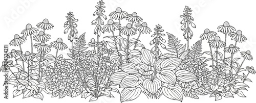 A black and white illustration depicts a dense collection of various wildflowers and foliage