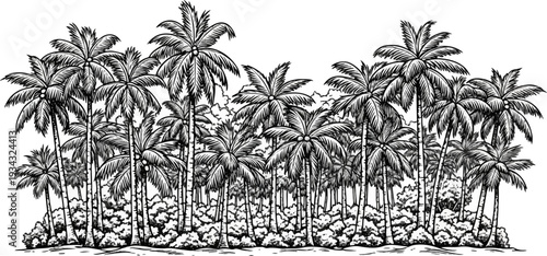 A dense, stylized forest of palm trees rendered in black and white
