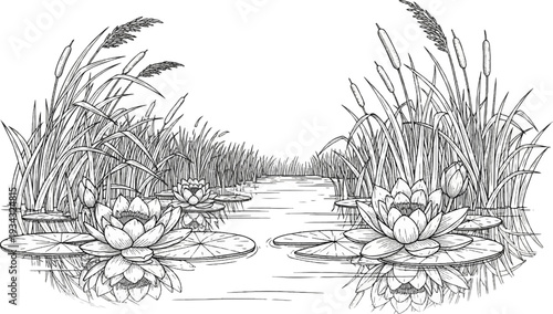 A serene pond scene with blooming water lilies and tall reeds