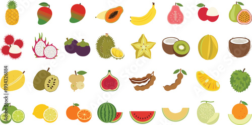 Vibrant collection of exotic fruits and melons illustrations