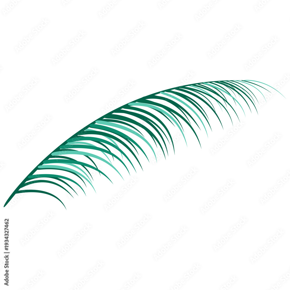 Fototapeta premium Exotic palm frond, lush green, tropical plant, nature element, summer decoration, isolated on transparency.