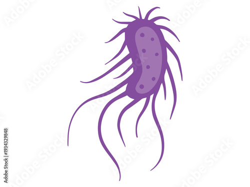 Hand Drawn Salmonella Bacteria Illustration
