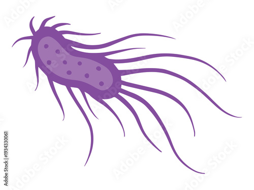 Hand Drawn Salmonella Bacteria Illustration
