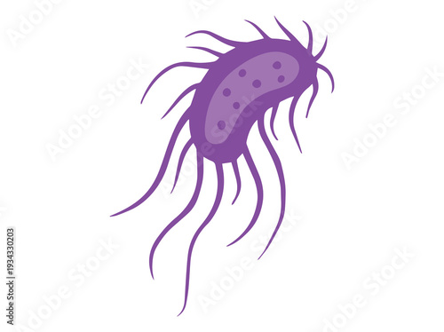Salmonella Bacteria Clip Art Illustration
