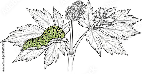 A green caterpillar eats a leaf on a plant with aphids