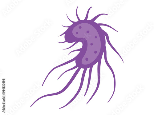 Salmonella Bacteria Illustration
