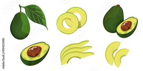 Avocado fruit collection with slices and leaves, vector illustration set