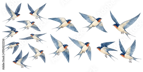 A charming watercolor collection of flying swallows for spring decor and nature design.