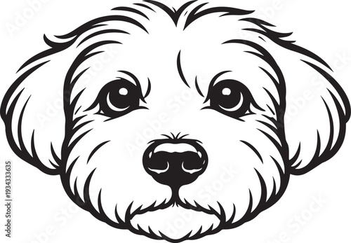 vector illustration of a dog