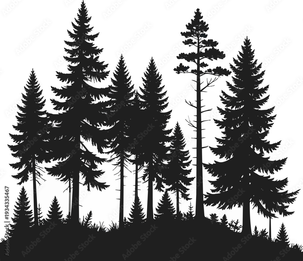 Obraz premium Forest Silhouette Black and White Vector Illustration