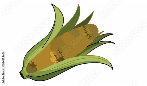 Golden Sweet Corn Ear with Peeled Green Husks Fresh Farm Vegetable Vector