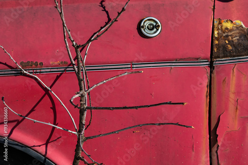 Canvas Print A twig leans across a scarred red vehicle door as rust and paint lines meet brig