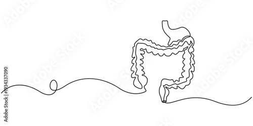 Continuous line drawing of human colon. Single line illustration of human colon organ. Human anatomy concept. Editable outline, Human intestine, conceptual illustration