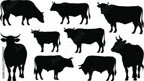 Black and white cow bull buffalo silhouette vector icons set for dairy farm livestock animal logo design meat shop butcher emblem and rural agriculture