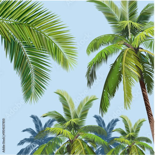 vector illustration of coconut leaves composition and some coconut trees as background.