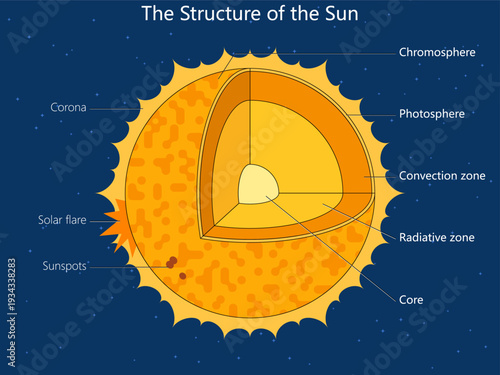 Sun internal structure showing core, radiative zone, convection zone, photosphere, chromosphere and corona diagram hand drawn schematic vector. Science educational illustration