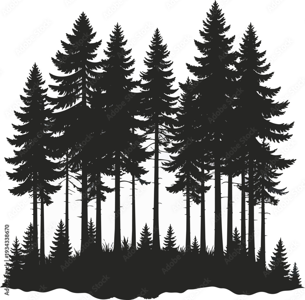 Fototapeta premium Forest Silhouette Black and White Vector Illustration