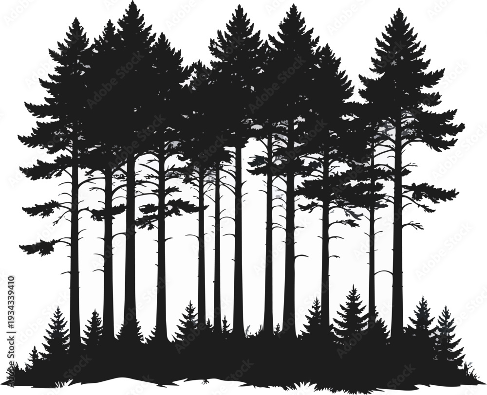 Fototapeta premium Forest Silhouette Black and White Vector Illustration