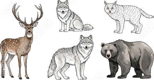 Five watercolor illustrations of forest animals deer, two wolves, owl, and bear