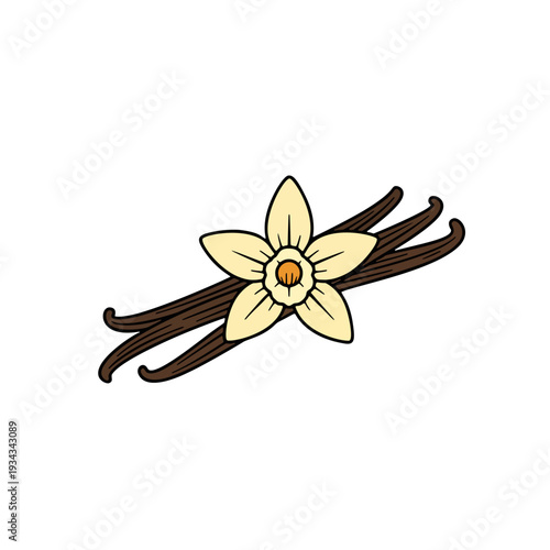 Vanilla Bean and Flower Cartoon Illustration – Hand drawn style vanilla pods with cream flower, flat vector design isolated on light background, natural flavor concept.