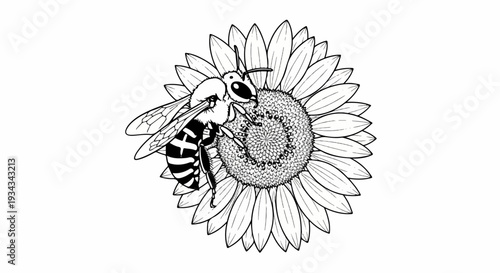 Detailed line drawing of a bee on a sunflower