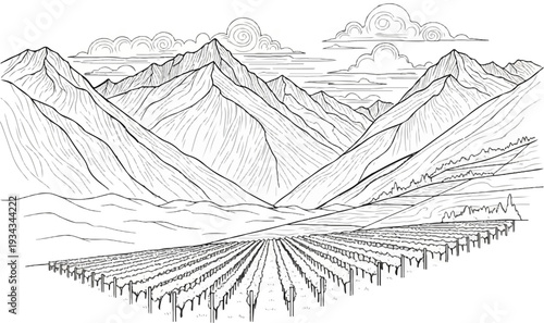 Stylized black and white line art of majestic mountains overlooking a vineyard