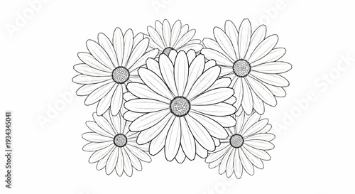 Sketchy outline of multiple daisy flowers arranged in a cluster
