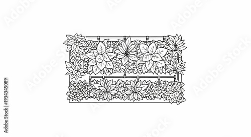 A black and white outline drawing of two rows of lush, leafy plants in planters