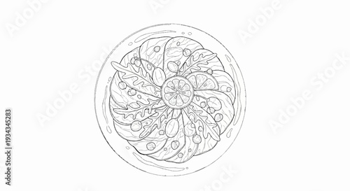 Overhead view sketch of a circular salad with sliced citrus and greens