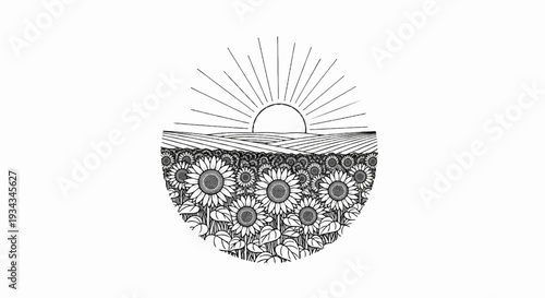 Stylized sun sets over a dense field of sunflowers and cultivated fields