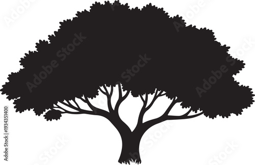 A strong and healthy deciduous tree silhouette stands prominently with a full canopy and thick branches
