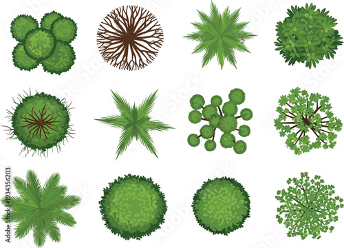 Top view vector illustration set of various green trees plants and palms for architectural landscape design site planning outdoor garden park map and masterplan isolated on white background.