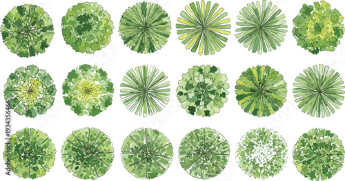 Top view vector illustration set of green trees palms garden plants and colorful flowers for architectural landscape design site planning map and masterplan.