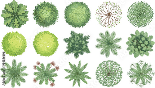 Top view vector illustration set of green trees palms and garden plants for architectural landscape design site planning map masterplan and outdoor park layout.