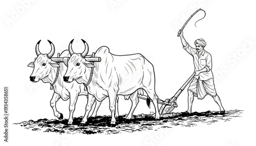 Traditional Farmer Plowing Field with Oxen Illustration Rural Agriculture Hard Work and Sustainable Farming Methods