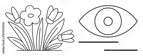 Nature , vision , creativity, art patterns, mindfulness, and sustainability. Line art showing flowers and an abstract eye. Nature themes and vision ation concept