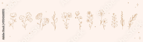 Minimalist floral line art set with delicate wildflowers and botanical elements on soft beige background for wedding invitations, branding, packaging, greeting cards, stationery, spring design.Vector